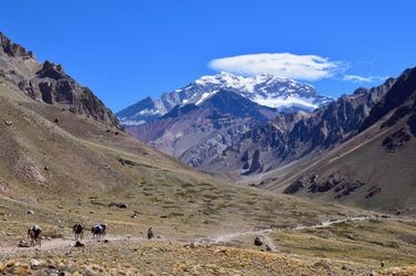 climm Aconcagua