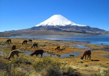 Parinacota. Chile / Bolivia.