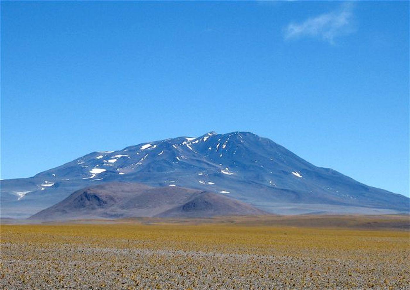 Bonete. Argentina.