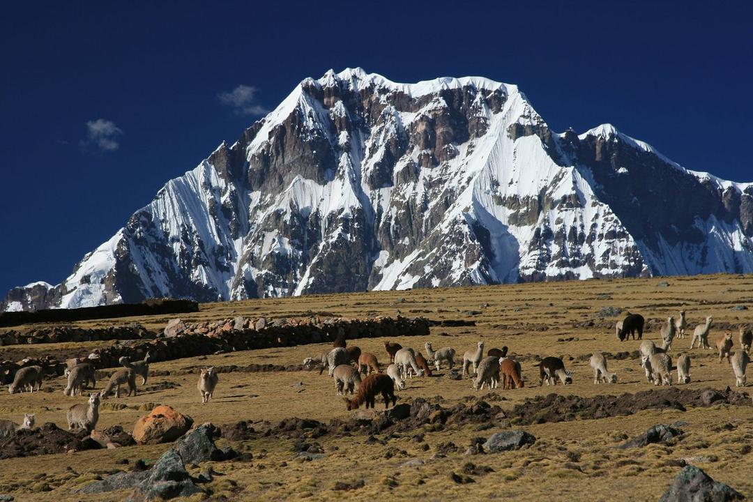 Ausangate. Peru.