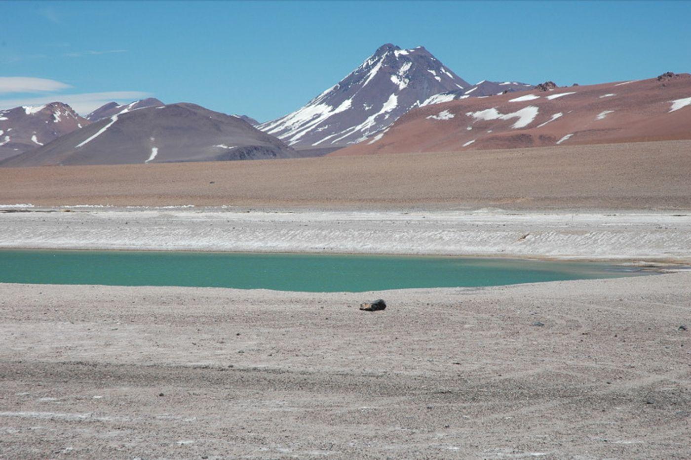 Acamarachi. Chile.