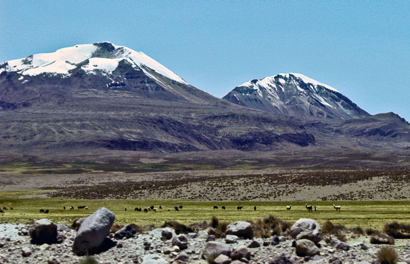 Acotango. Chile / Bolivia.