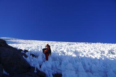 Sajama. Bolivia.