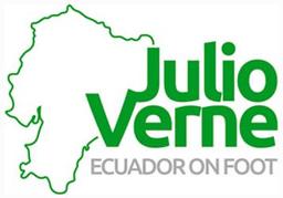 Julio Verne Travel logo