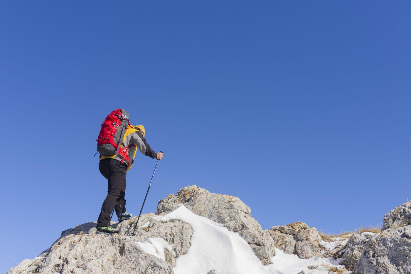 Hiking Bees Treks and Expeditions. cover image